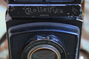 img_5315_resize.jpg