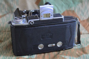 img_9784.jpg